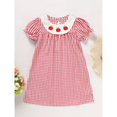 Toddler Kids Girls Back To School Dress Smocked Collar Puff Sleeve Plaid Embroidered Print Dress